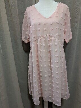 NWOT Pink Chiffon Above Knee Dress With Swiss Dots. V Neck. Small. Never Worn